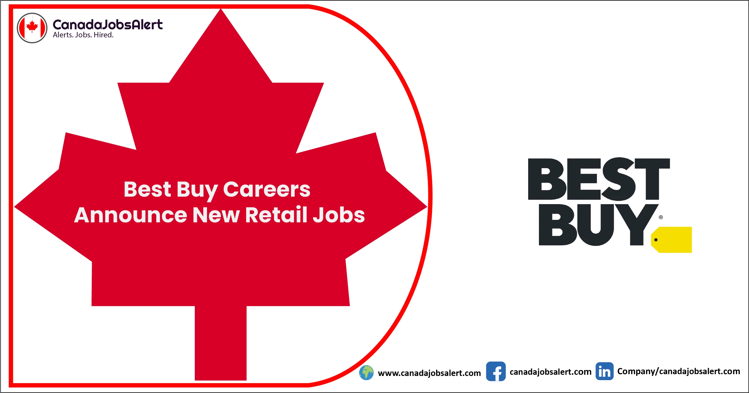 Best Buy Careers