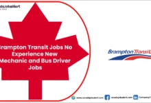 Brampton Transit Jobs